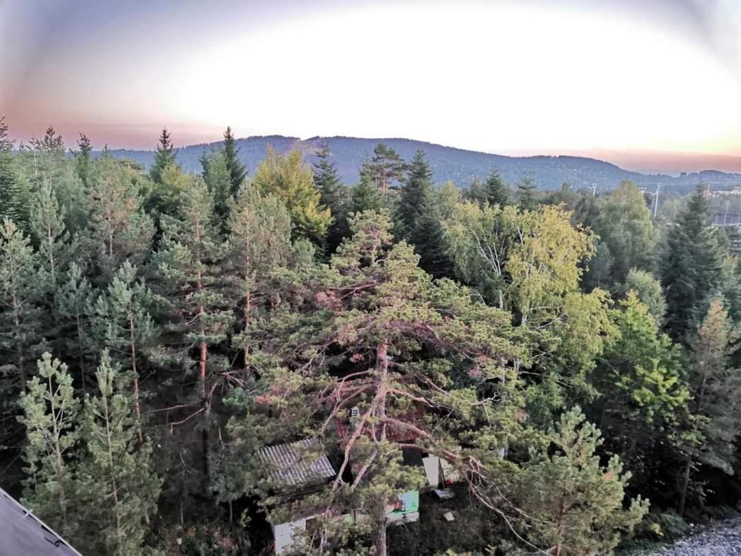 Divcibare Planinski Mir A19 المظهر الخارجي الصورة